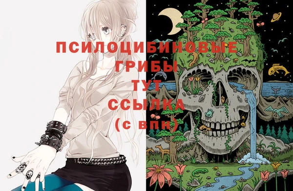 молекула духа Краснотурьинск