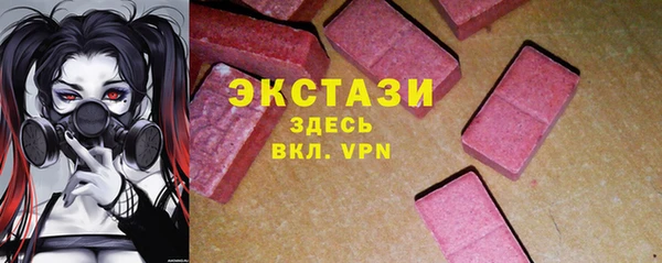 ECSTASY Краснослободск