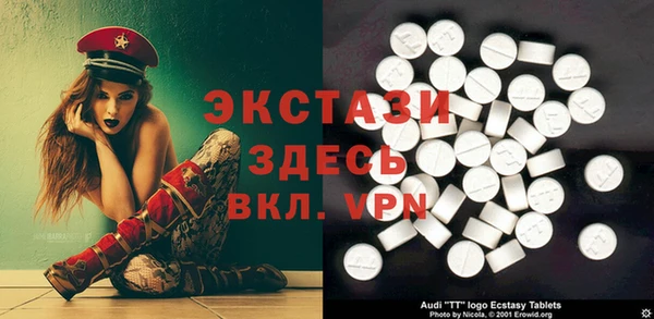 ECSTASY Краснослободск